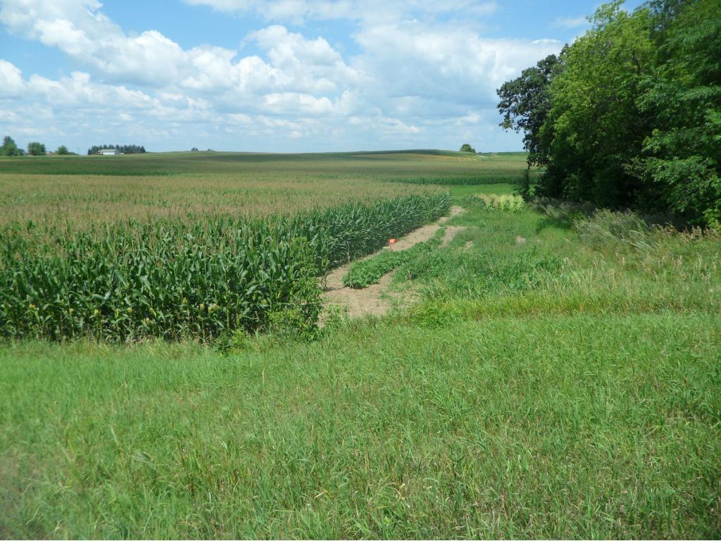 2 County Road 52 Avon, MN 56310 - Photo 1 of 1