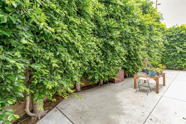 a view of a garden with a chair