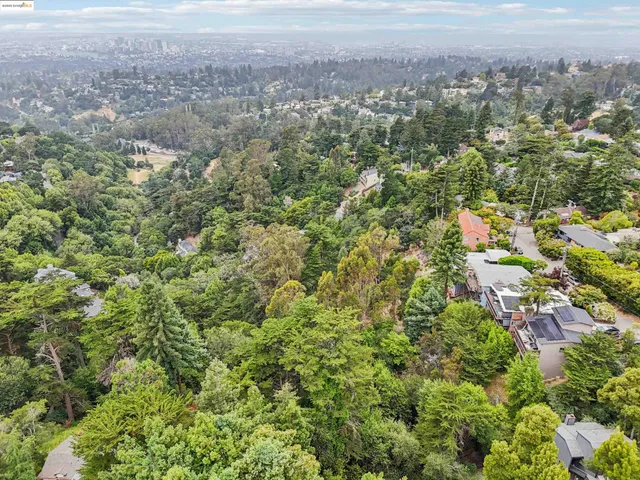 an aerial view of residential house with green space and trees