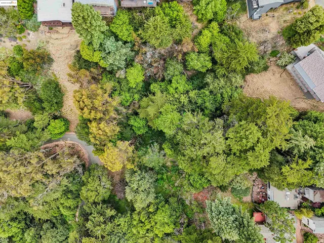 a view of a garden with a tree