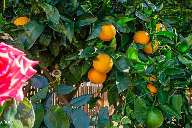 $785,000 | 2764 Petit Street, Camarillo, CA 93012