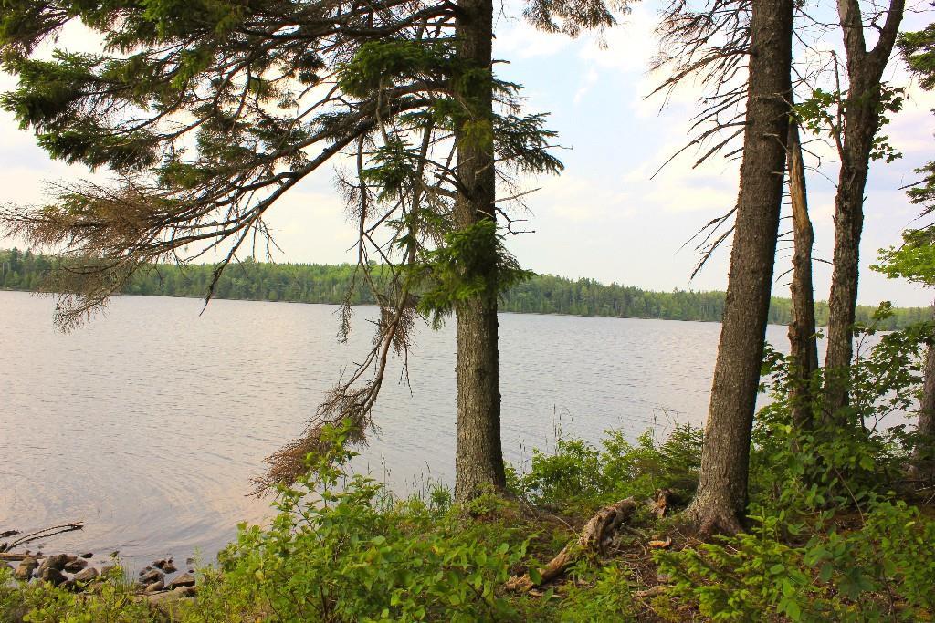 18 Sunrise Way Whiting, ME 04691 - Photo 9 of 27 Photo