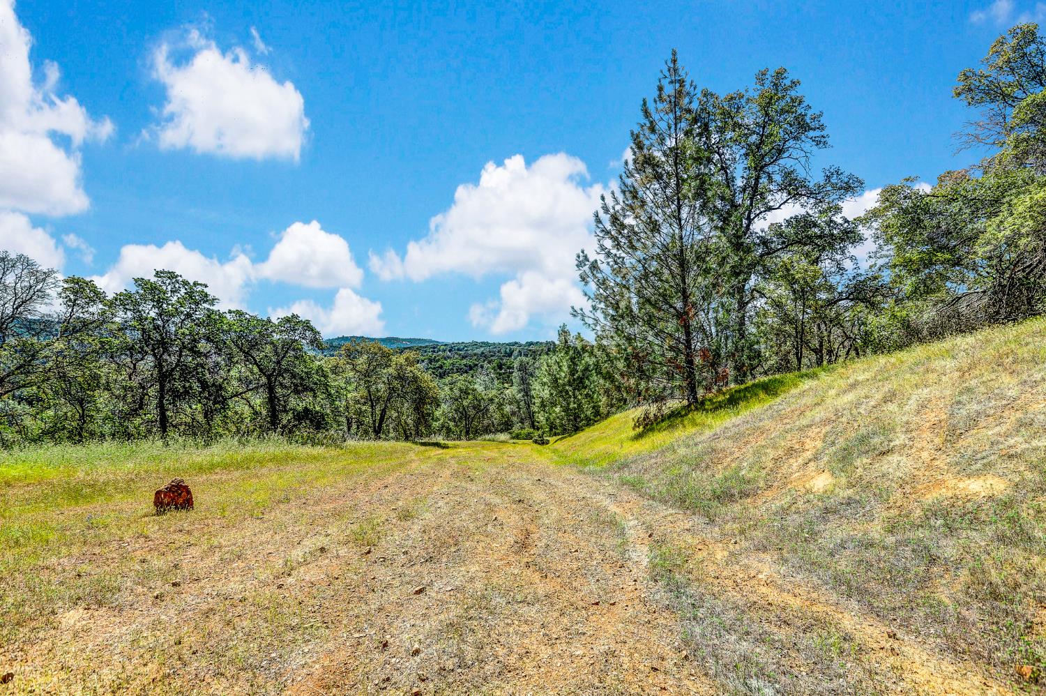 29 Township Road Browns Valley, CA 95918 - Photo 11 of 62 Gallery Image 11