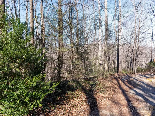a view of a yard with trees