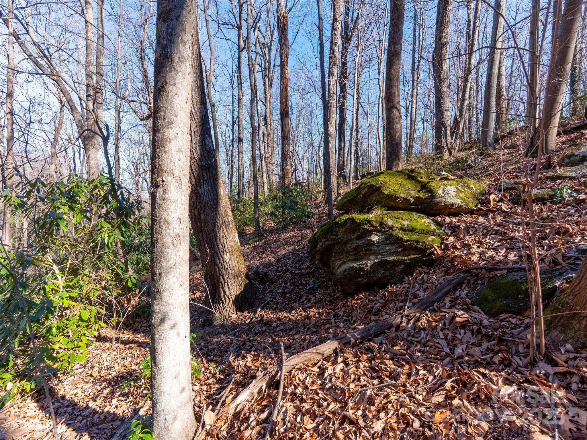 0 Mountain Page Road, Unit 17 18 19 Saluda, NC 28773 - Photo 13 of 42 a view of a yard with plants and large trees