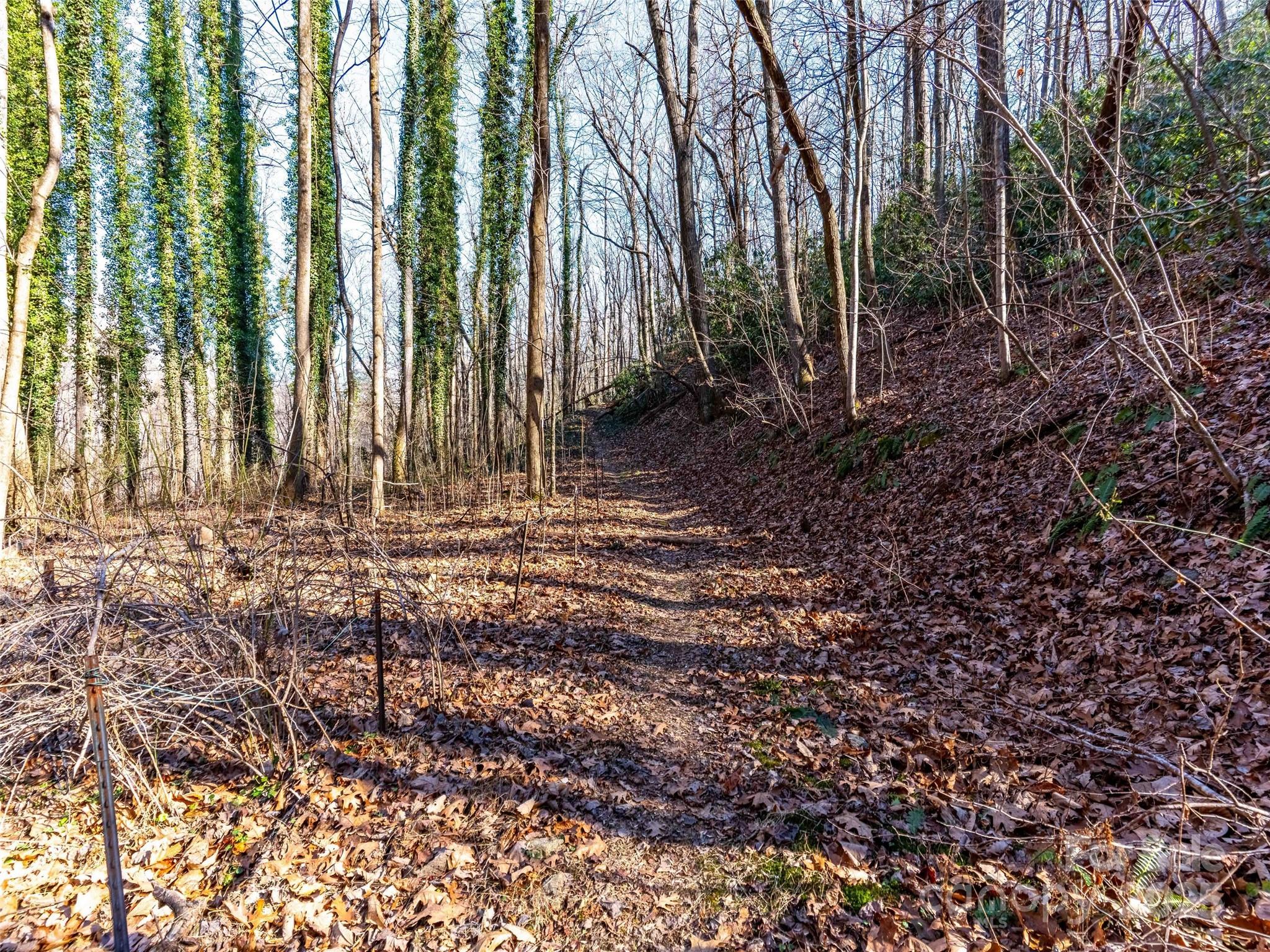 0 Mountain Page Road, Unit 17 18 19 Saluda, NC 28773 - Photo 16 of 42 a view of a backyard with trees