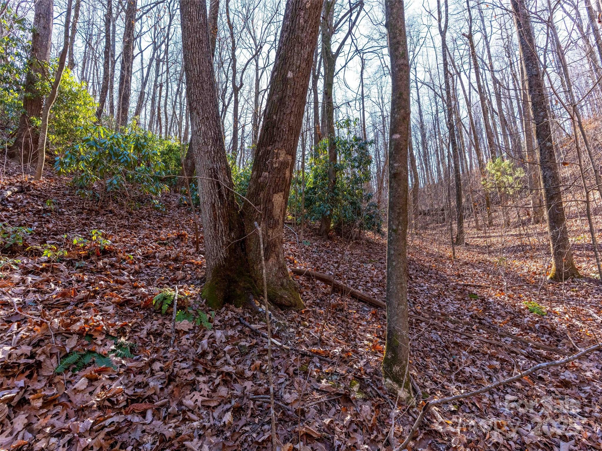 0 Mountain Page Road, Unit 17 18 19 Saluda, NC 28773 - Photo 17 of 42 a view of a yard