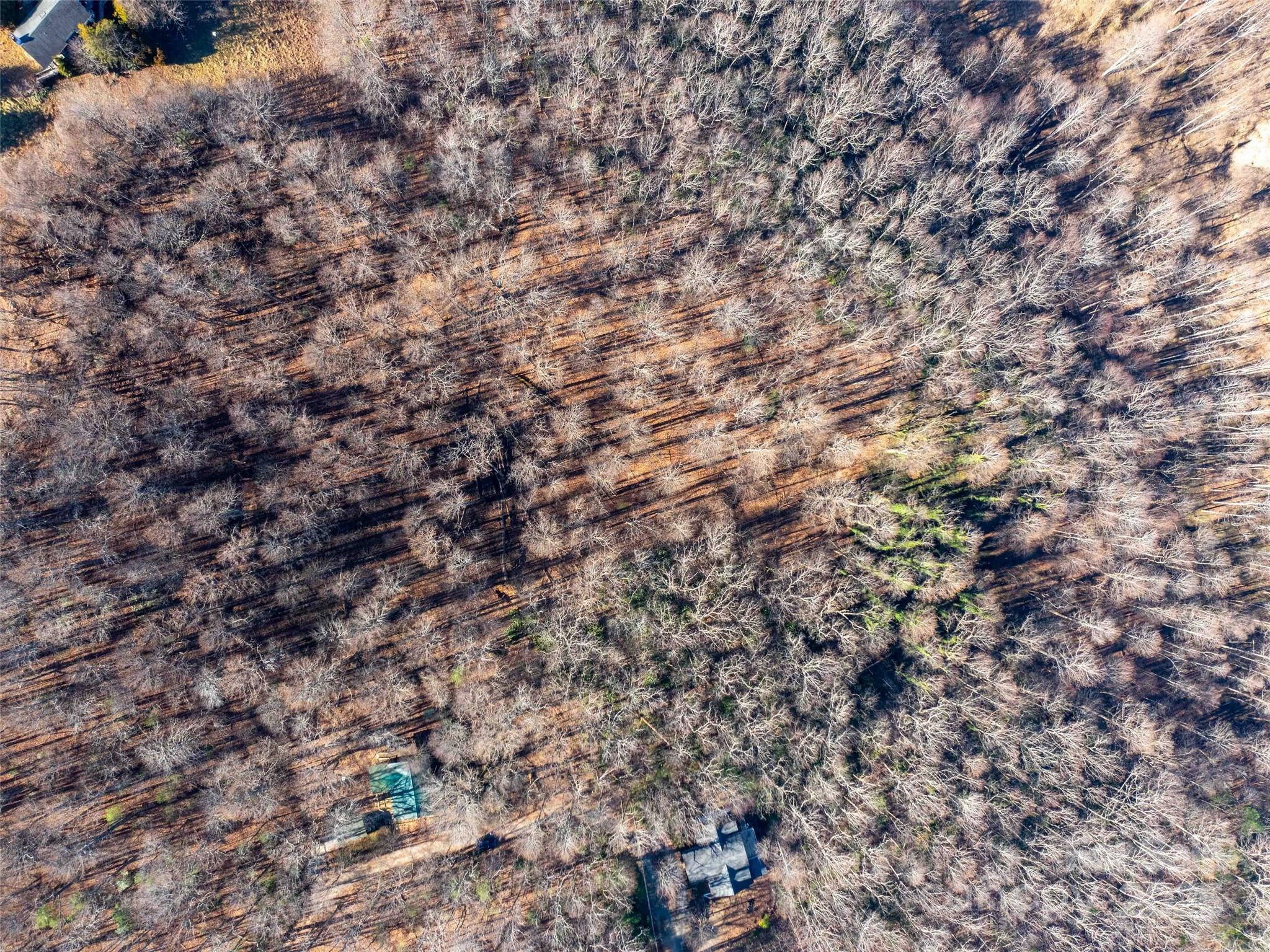 0 Mountain Page Road, Unit 17 18 19 Saluda, NC 28773 - Photo 4 of 42 a view of a field