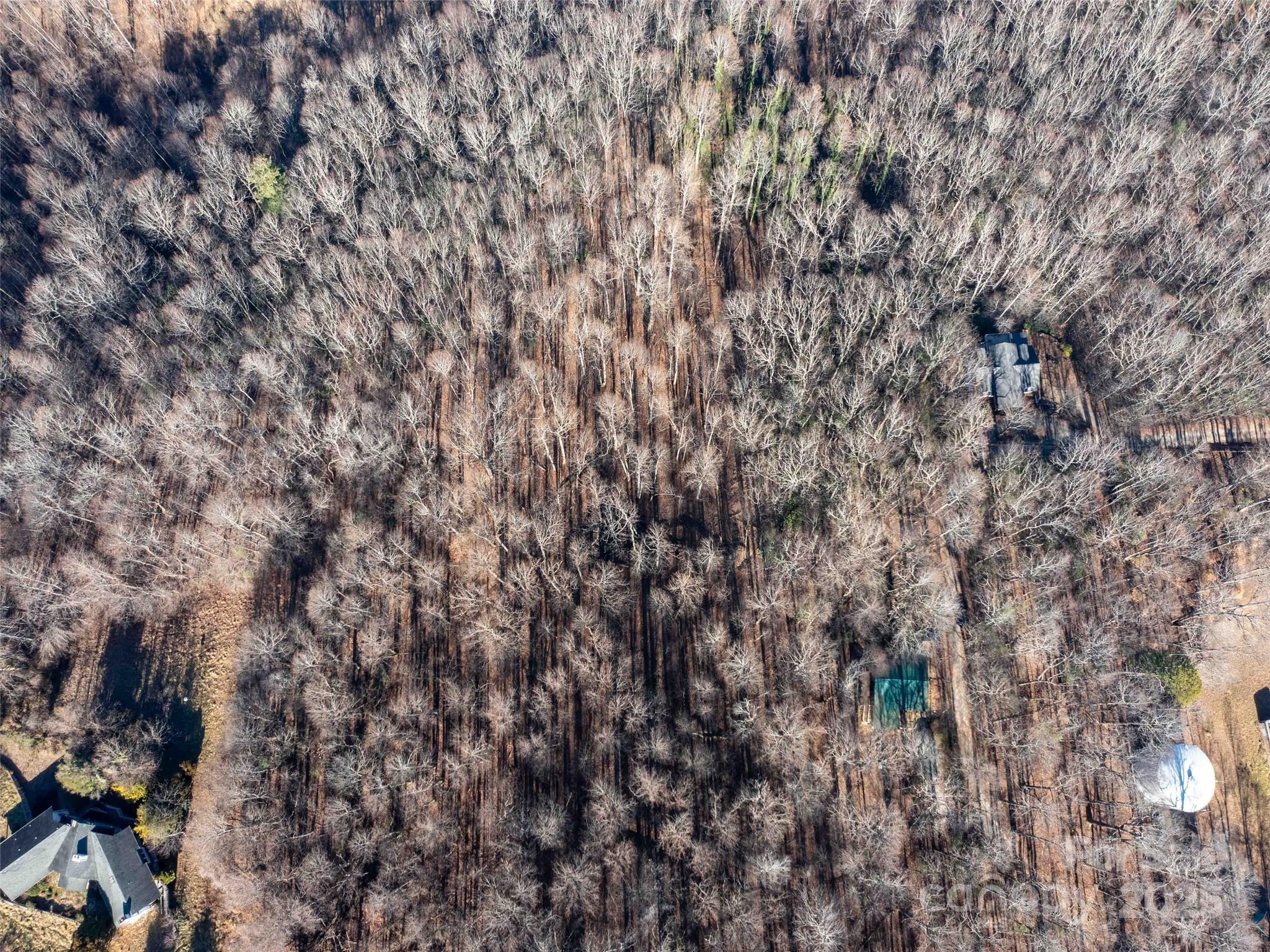 0 Mountain Page Road, Unit 17 18 19 Saluda, NC 28773 - Photo 6 of 42 a close up of a tree