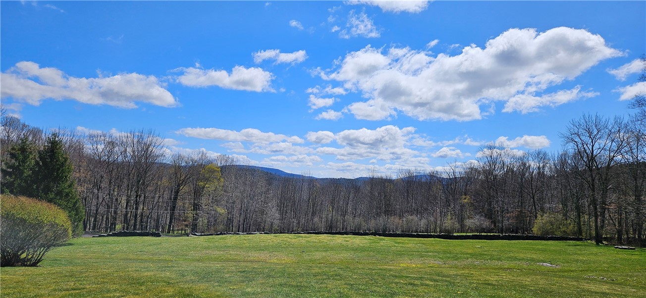 95 Tab Road Margaretville, NY 12455 - Photo 5 of 43
