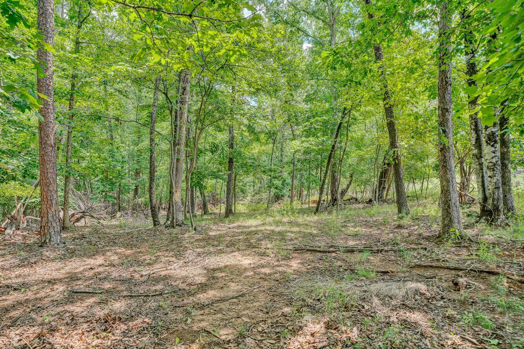 0 Ivyland Road Roanoke, VA 24014 - Photo 14 of 15 IMG_0202