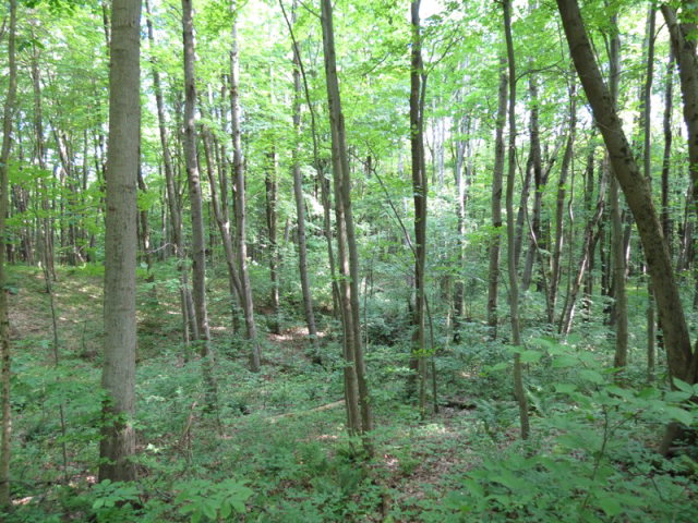 S/w Corner Cochranton, PA 16314 - Photo 1 of 1