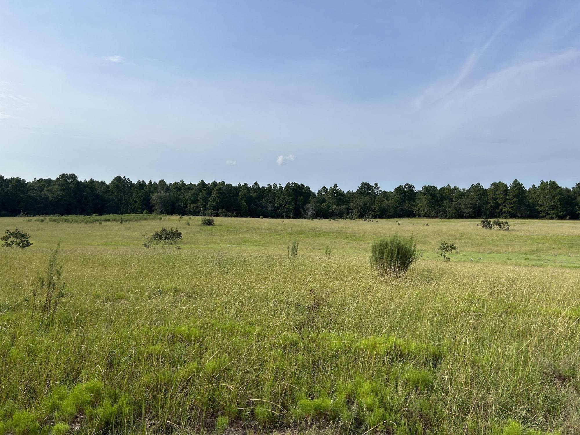 0 Good Springs Road Aiken, SC 29801 - Photo 5 of 6 Gallery Image 5