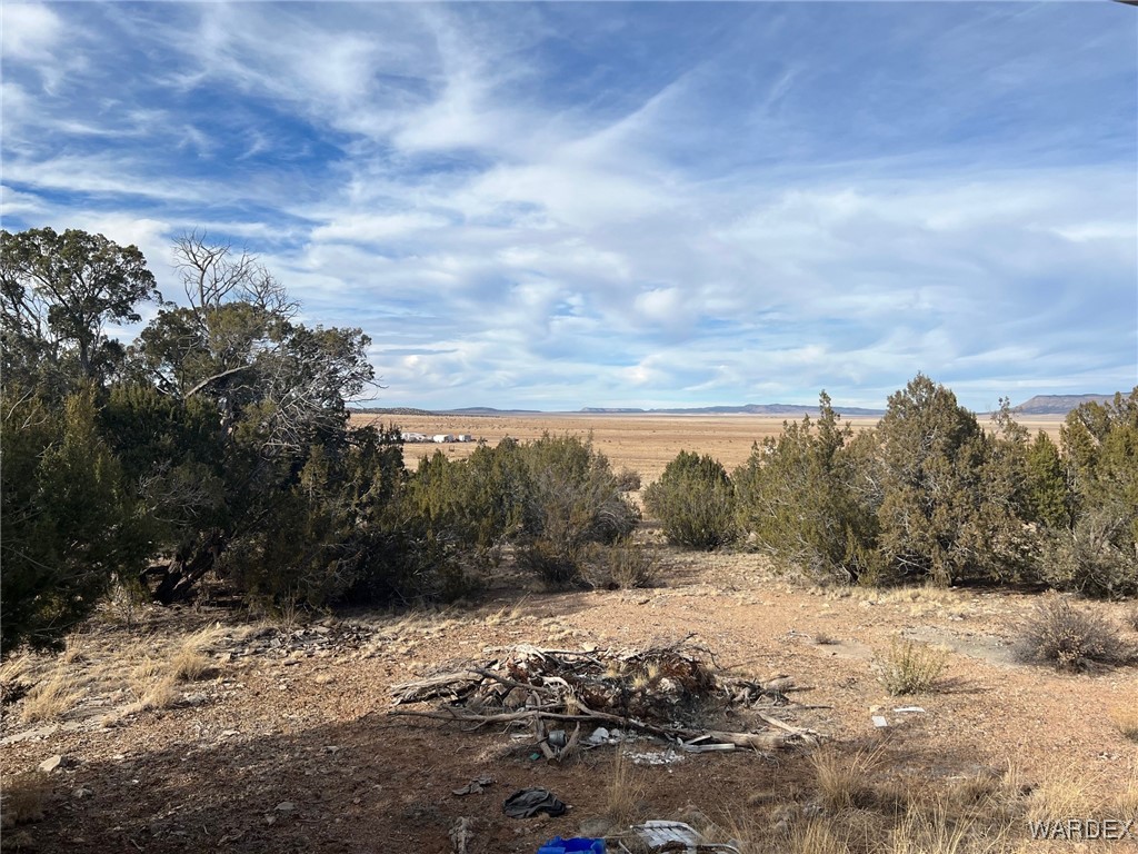 58735 North Bridge Canyon Road Seligman, AZ 86337 - Photo 4 of 6