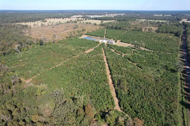 $624,500 | 968 Mounce Road, Grand Cane, LA 71032