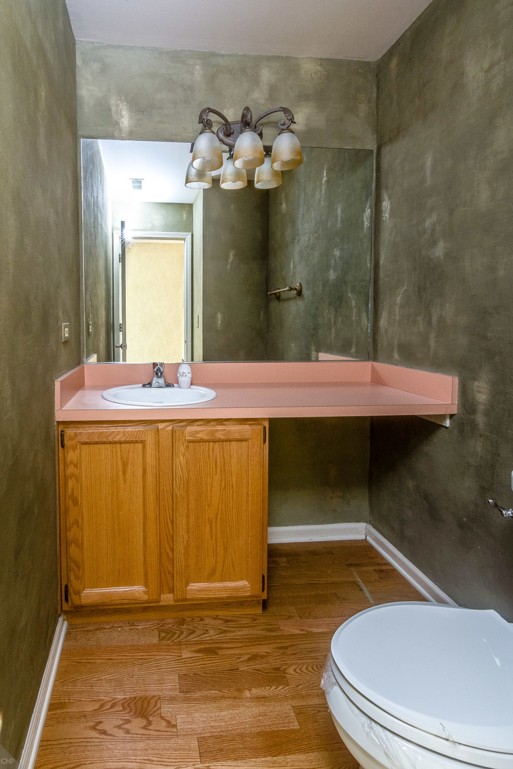 310 Spring Creek Circle Schaumburg, IL 60173 - Photo 25 of 26 a bathroom with a sink a toilet and mirror