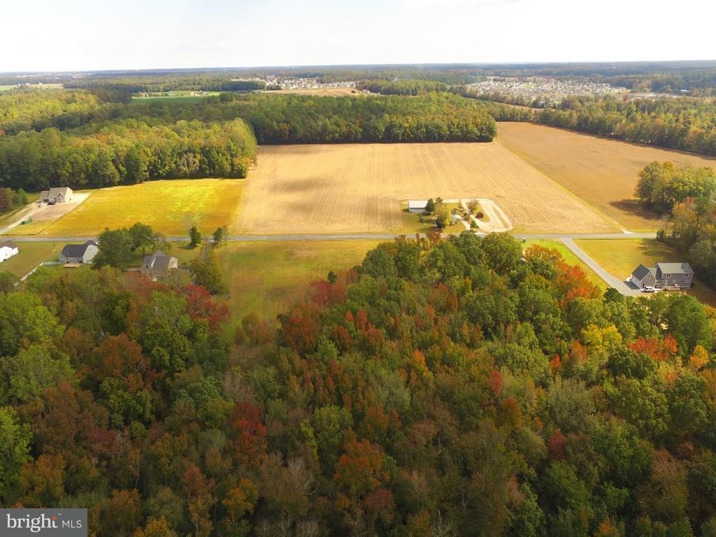 Lot 4 Cool Spring Road, Unit 4 Harbeson, DE 19951 - Photo 7 of 41 Gallery Image 7