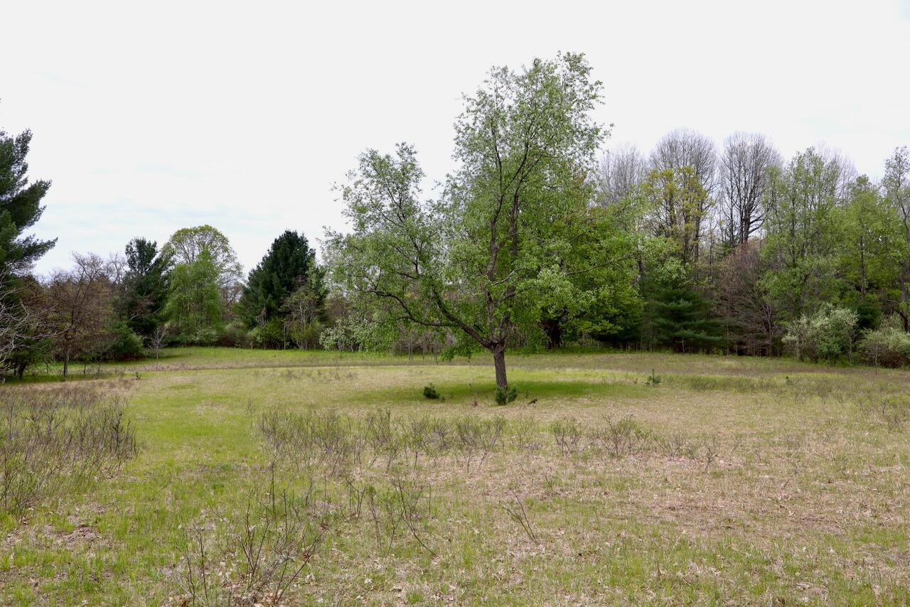 6153 South Branch Road Branch, MI 49402 - Photo 62 of 70 55