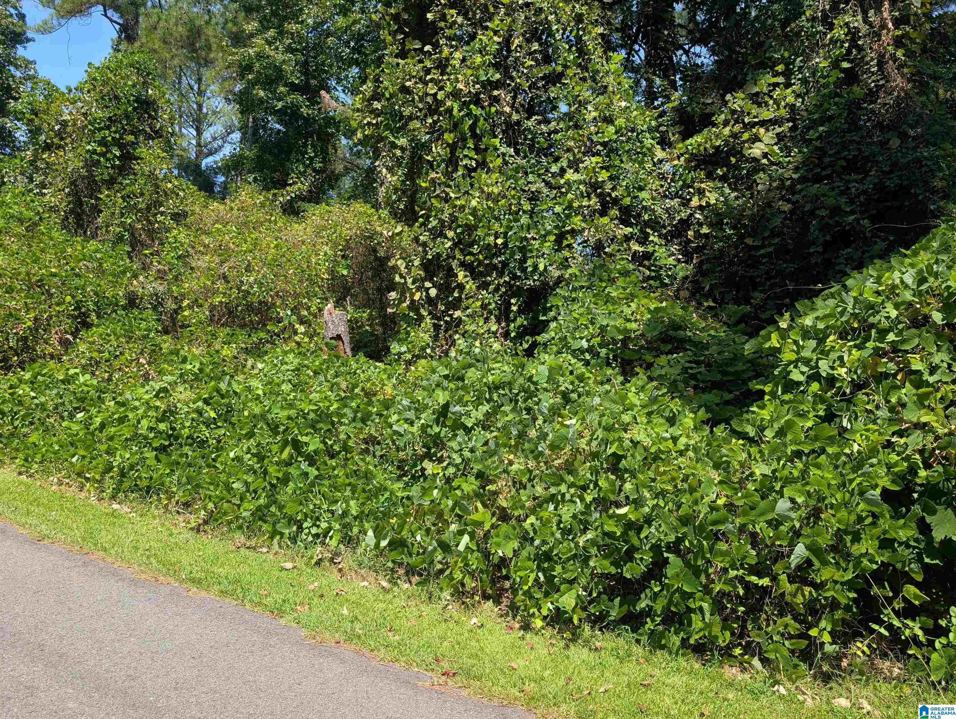 0 Hilltop Road Weaver, AL 36277 - Photo 18 of 18 Gallery Image 18
