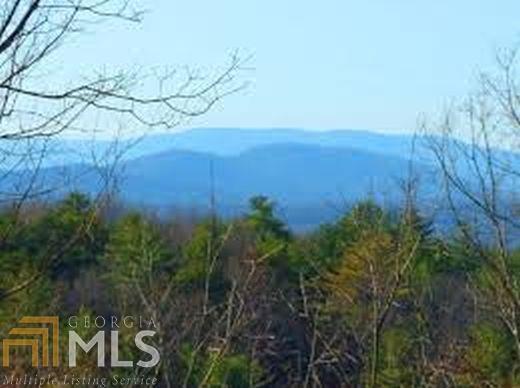 L67 Walnut Ridge Ellijay, GA 30536 - Photo 1 of 1 a view of a yard