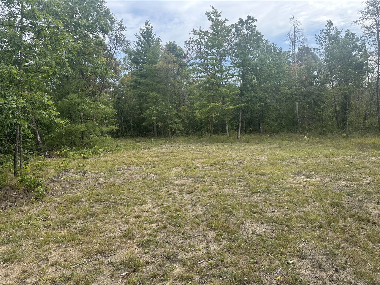 0 Spruce Road Idlewild, MI 49642 - Photo 3 of 11