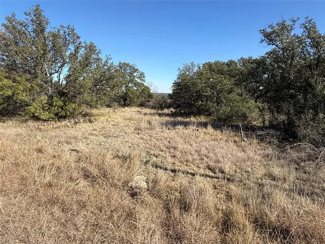 a view of a dry yard with a tree