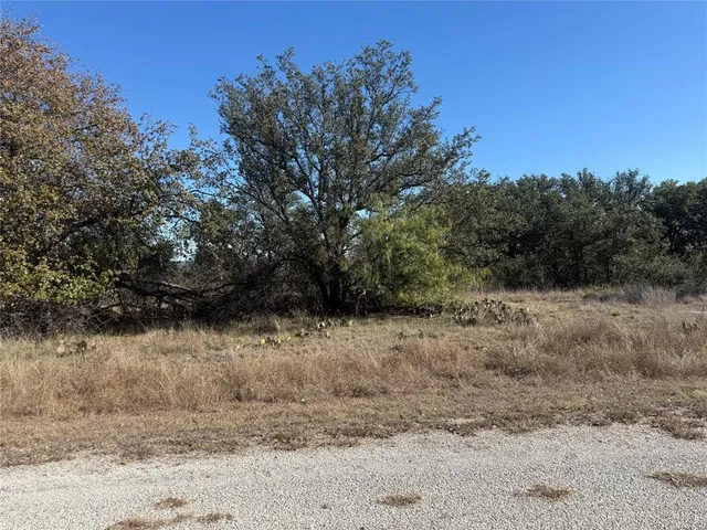 a view of a dry yard with trees