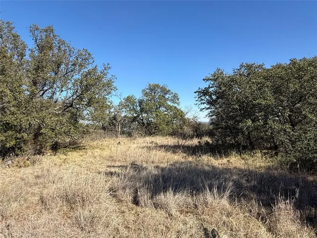 a view of a dry yard with trees
