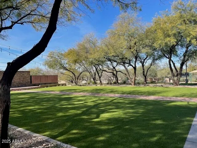 a park with trees in the background
