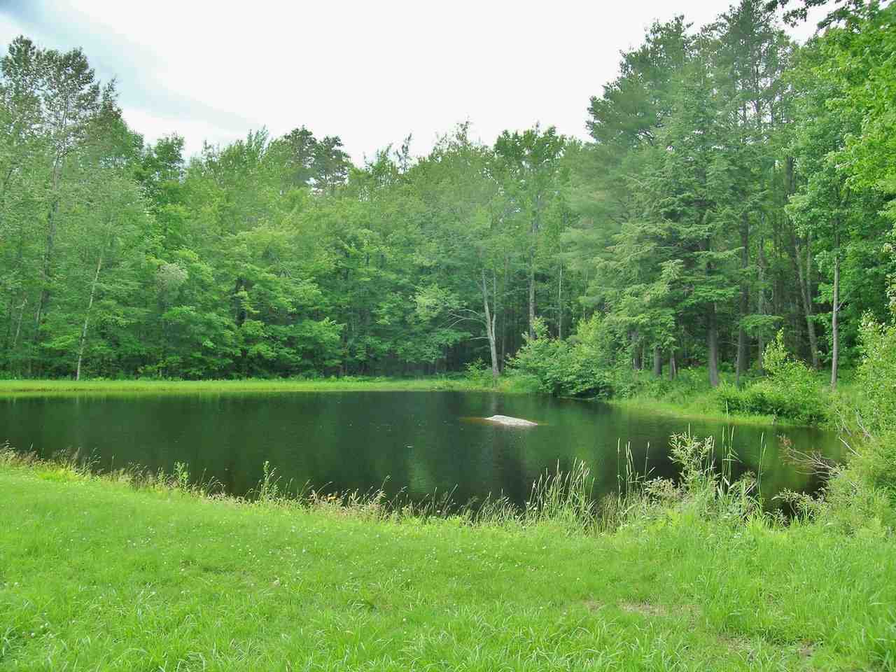471 Robbins Crossroad Ripton, VT 05766 - Photo 4 of 40