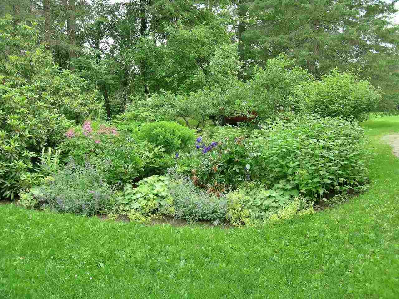 471 Robbins Crossroad Ripton, VT 05766 - Photo 35 of 40