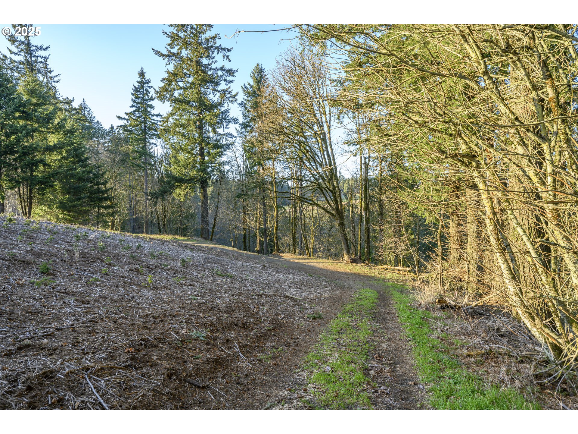0 Northeast Quarry Road Newberg, OR 97132 - Photo 1 of 48 Gallery Image 1