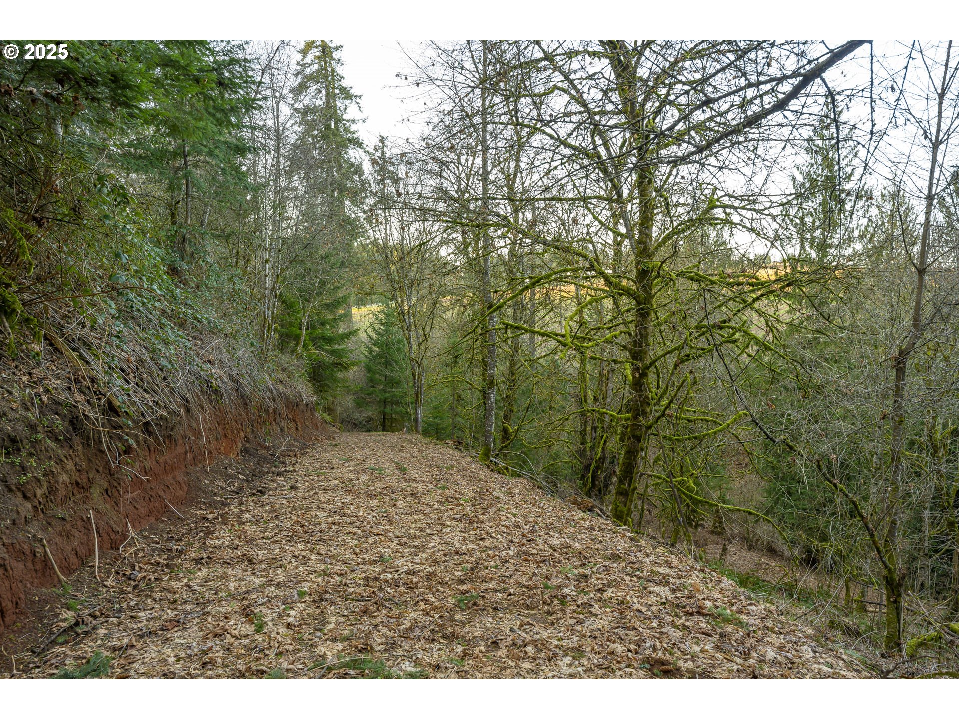 0 Northeast Quarry Road Newberg, OR 97132 - Photo 11 of 48 Gallery Image 11