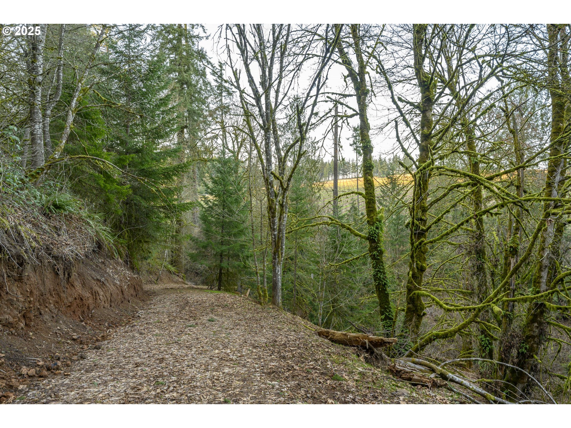 0 Northeast Quarry Road Newberg, OR 97132 - Photo 13 of 48 Gallery Image 13