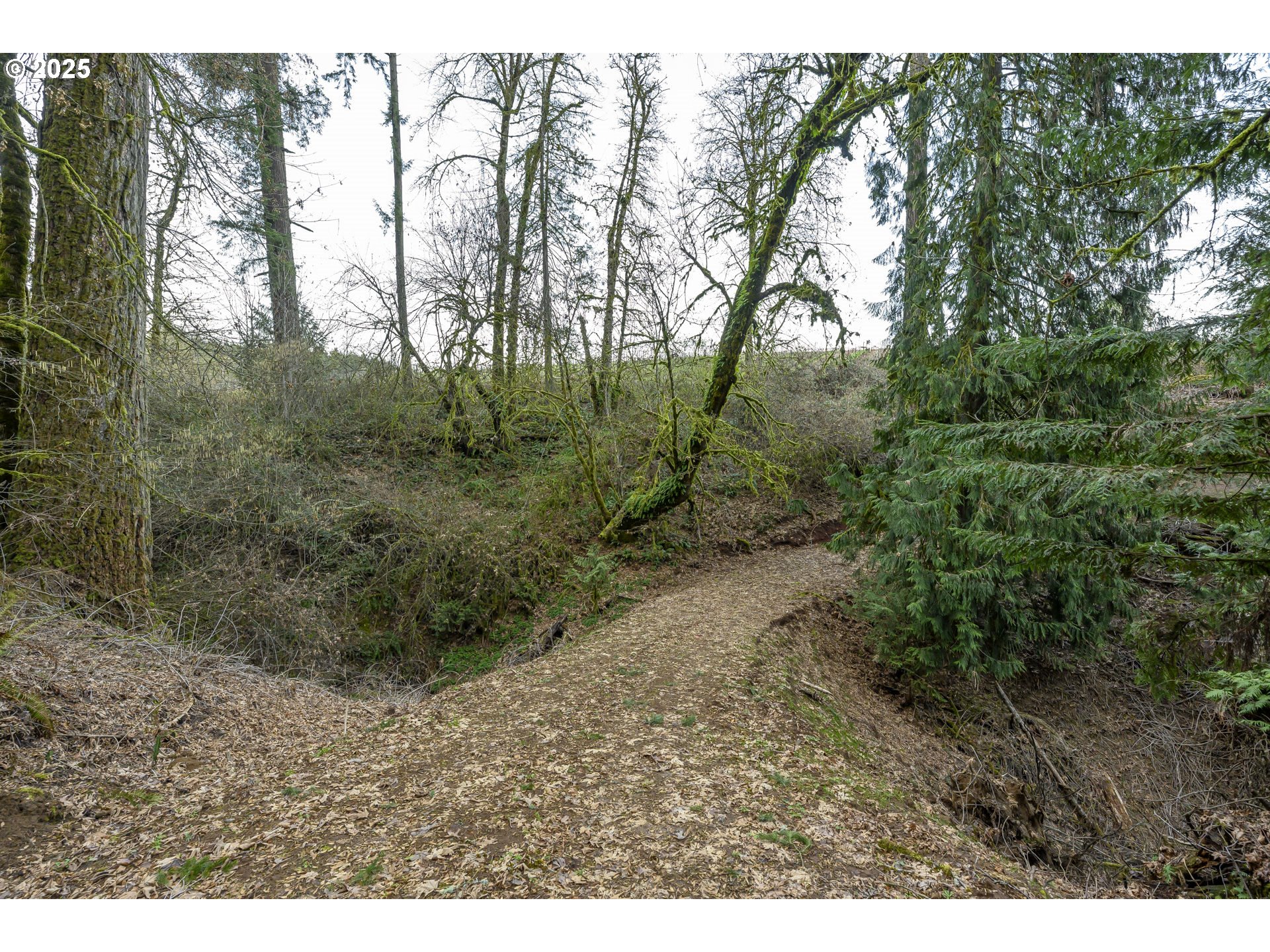 0 Northeast Quarry Road Newberg, OR 97132 - Photo 15 of 48 Gallery Image 15