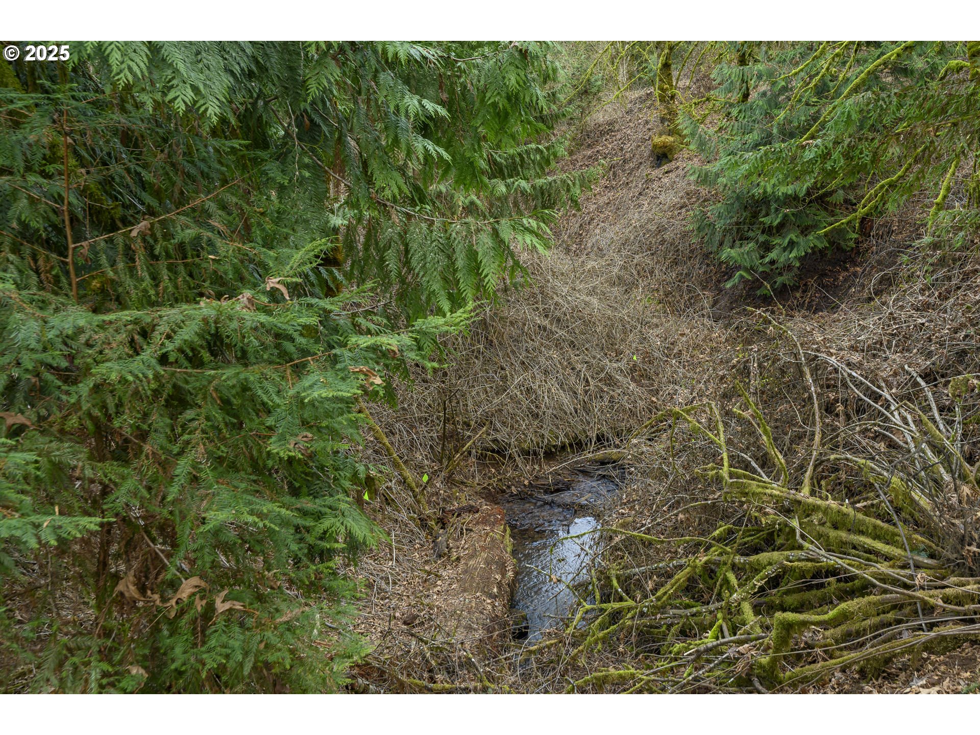 0 Northeast Quarry Road Newberg, OR 97132 - Photo 16 of 48 Gallery Image 16