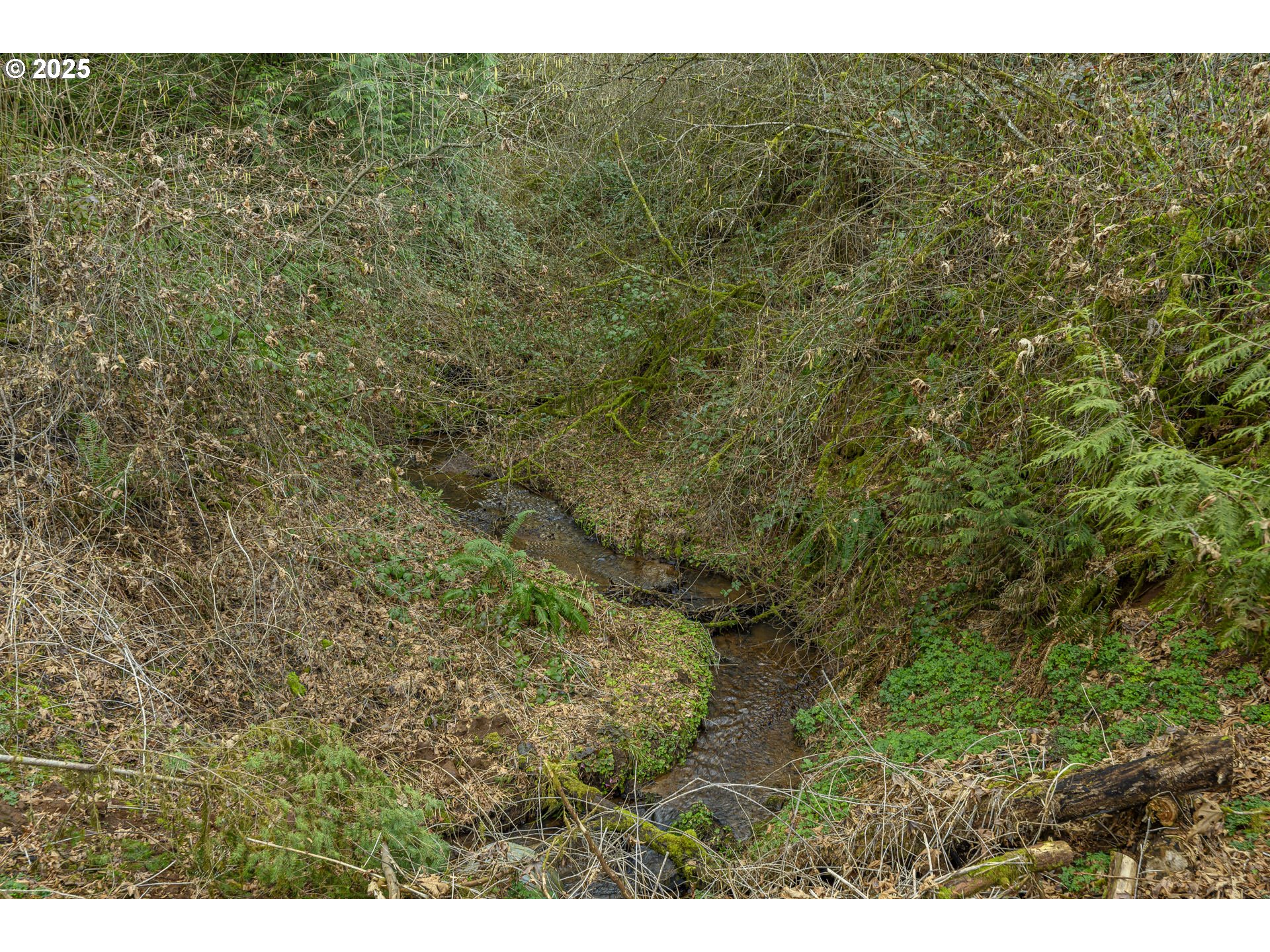 0 Northeast Quarry Road Newberg, OR 97132 - Photo 17 of 48 Gallery Image 17