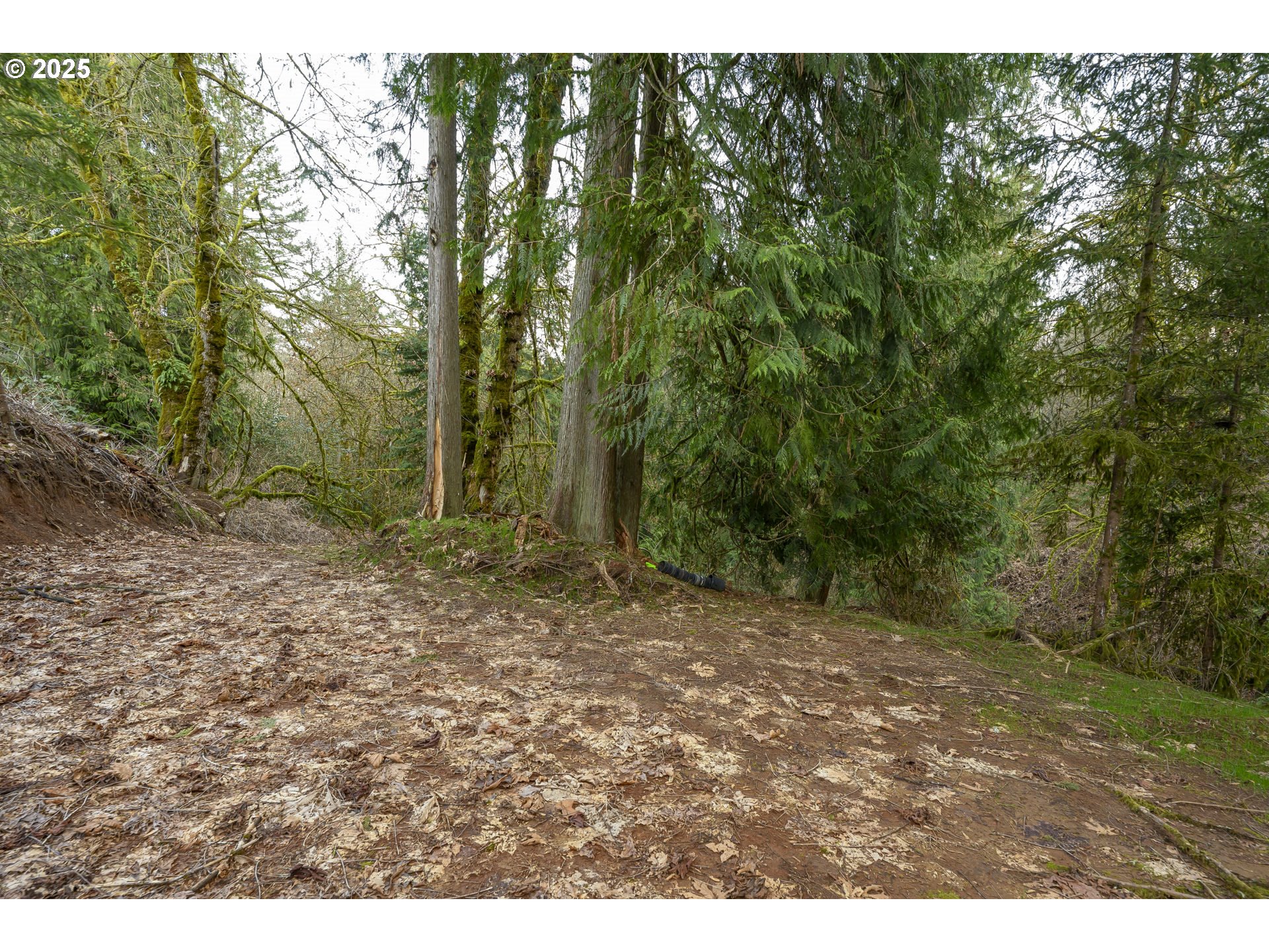 0 Northeast Quarry Road Newberg, OR 97132 - Photo 19 of 48 Gallery Image 19