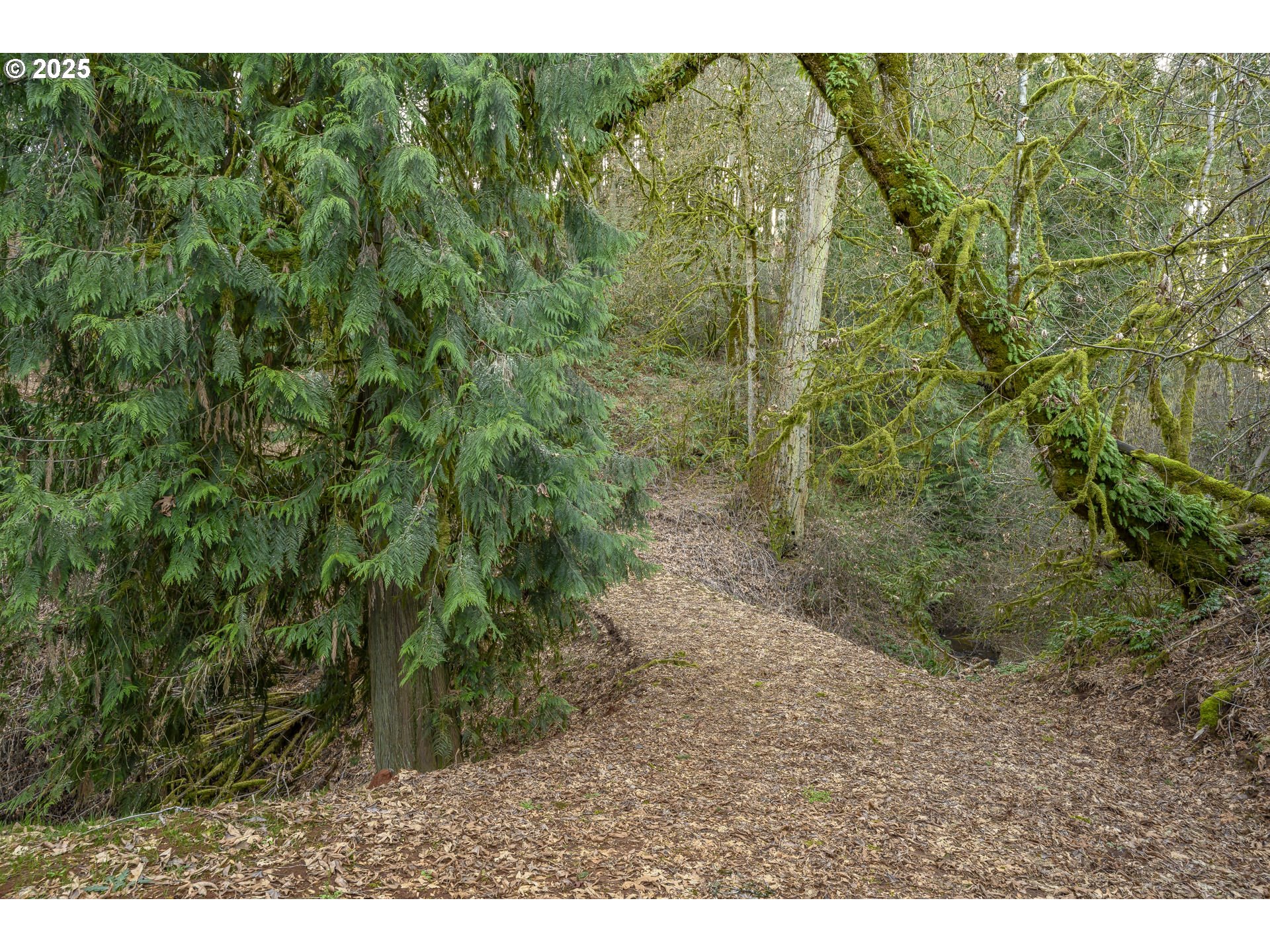 0 Northeast Quarry Road Newberg, OR 97132 - Photo 21 of 48 Gallery Image 21