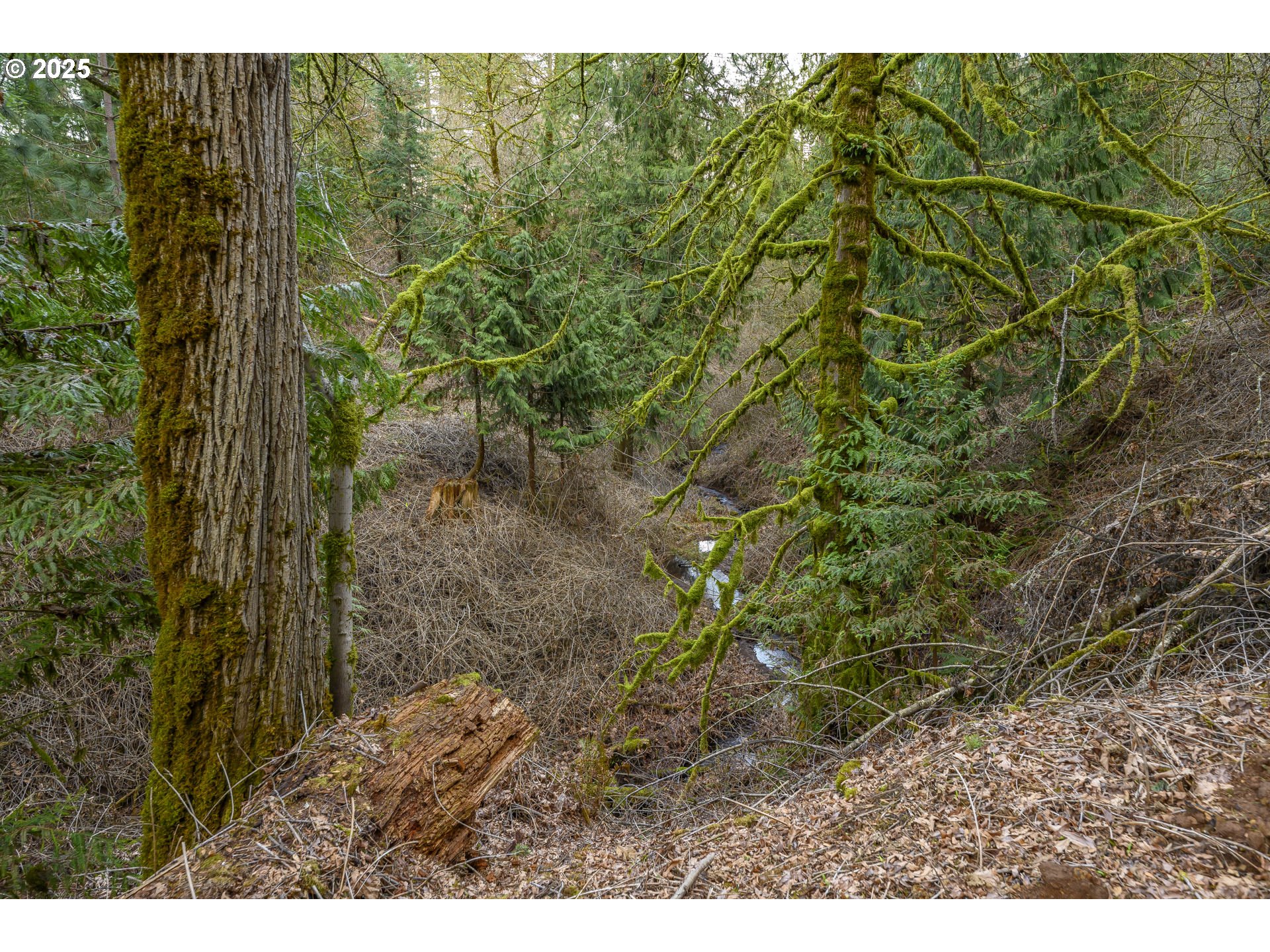 0 Northeast Quarry Road Newberg, OR 97132 - Photo 24 of 48 Gallery Image 24