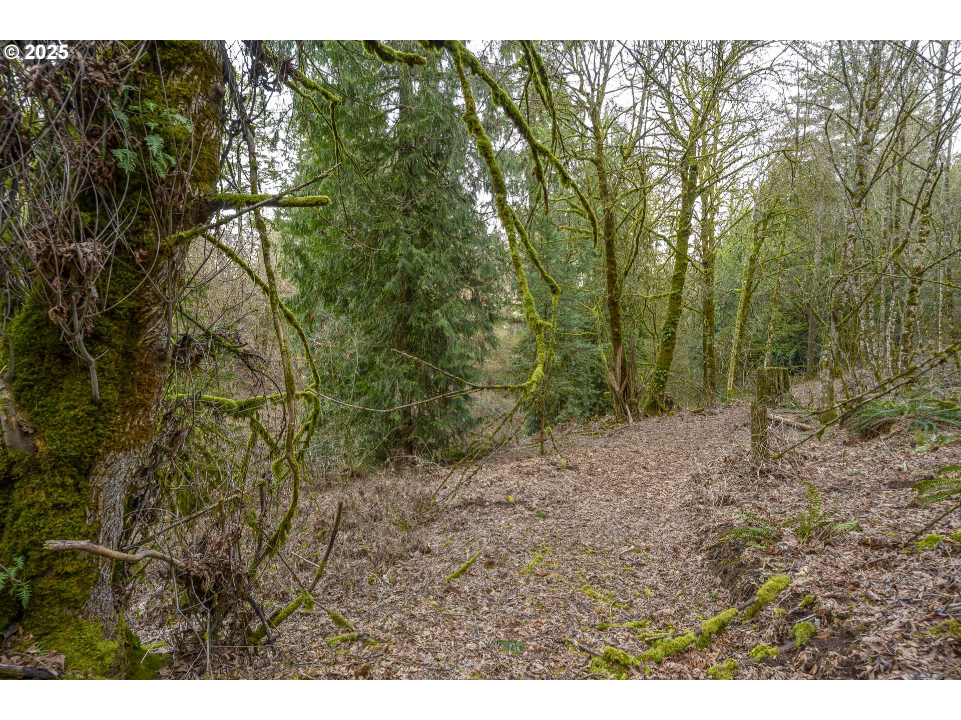 0 Northeast Quarry Road Newberg, OR 97132 - Photo 25 of 48 Gallery Image 25