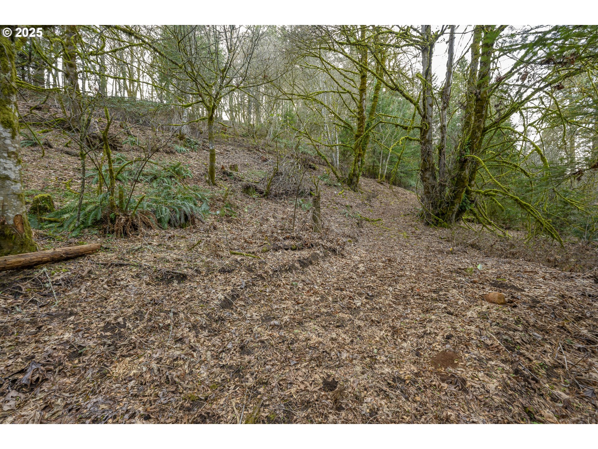 0 Northeast Quarry Road Newberg, OR 97132 - Photo 27 of 48 Gallery Image 27