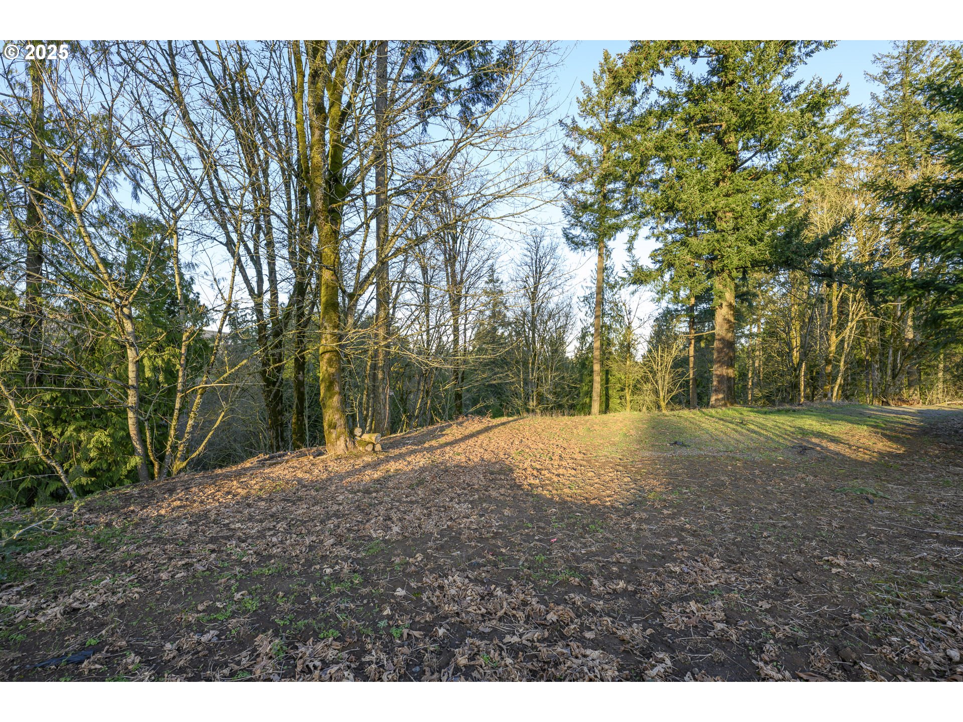 0 Northeast Quarry Road Newberg, OR 97132 - Photo 3 of 48 Gallery Image 3