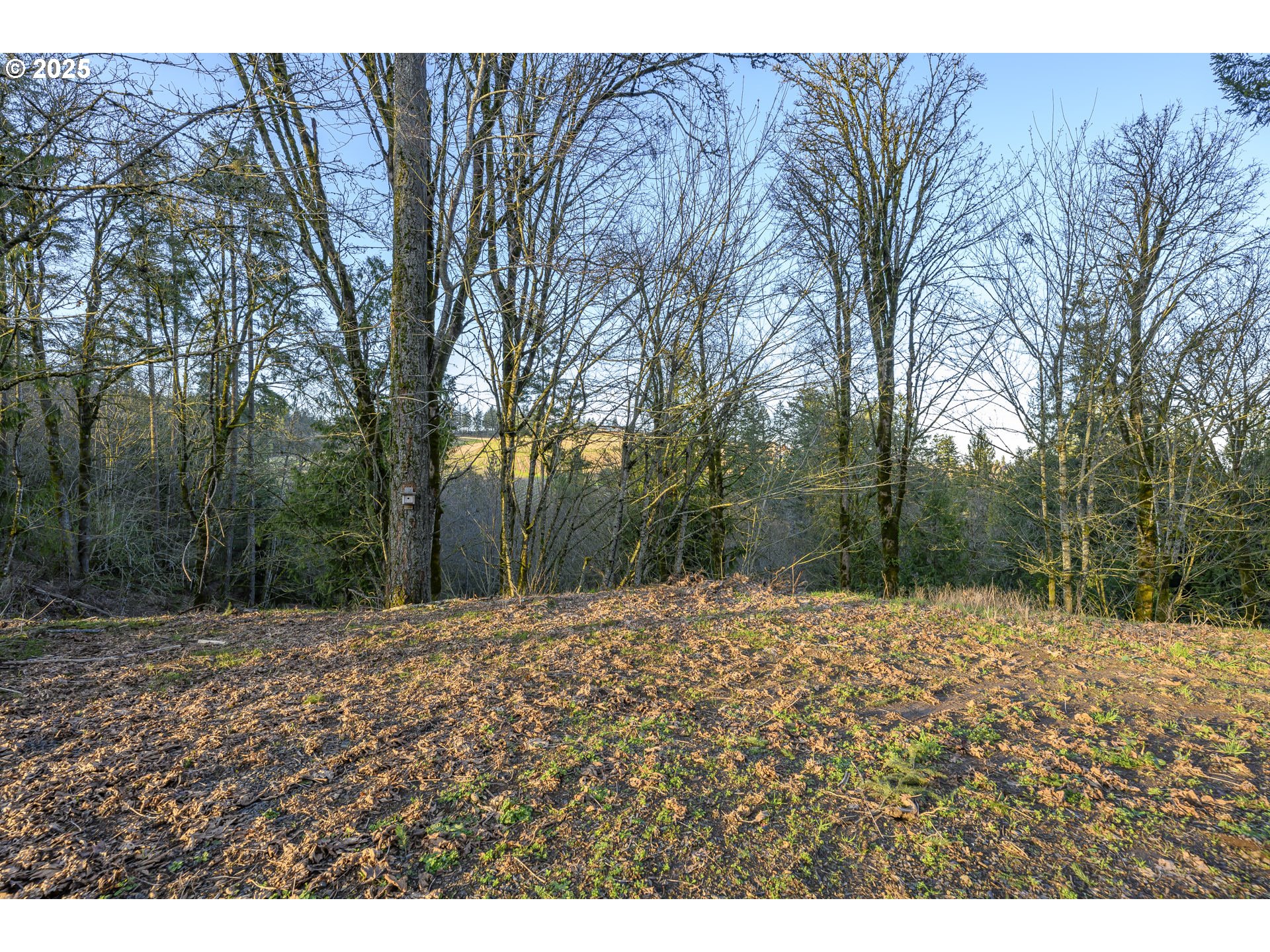 0 Northeast Quarry Road Newberg, OR 97132 - Photo 31 of 48 Gallery Image 31