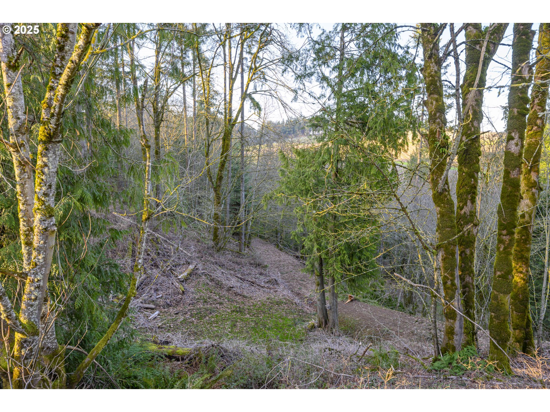 0 Northeast Quarry Road Newberg, OR 97132 - Photo 32 of 48 Gallery Image 32