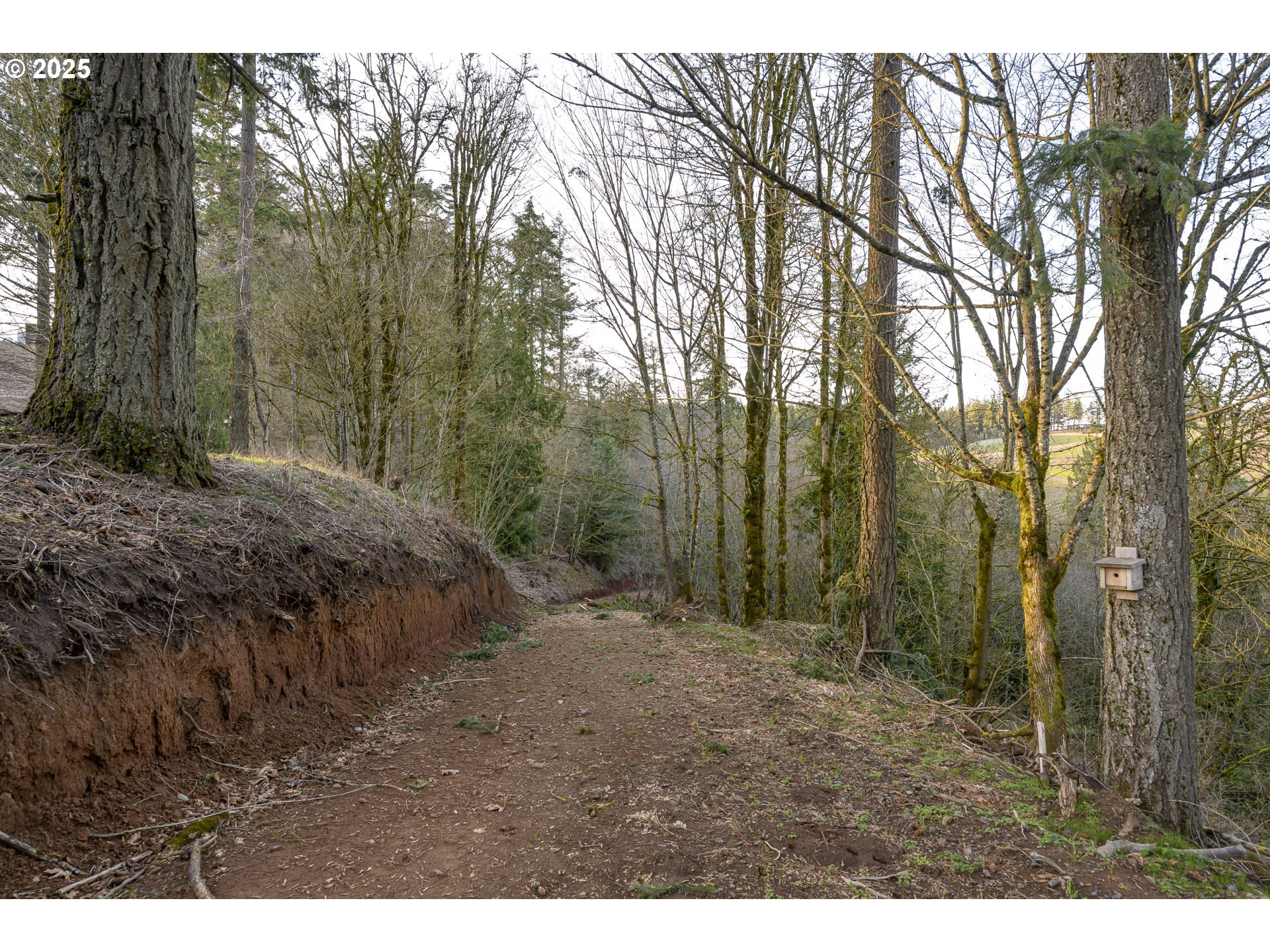 0 Northeast Quarry Road Newberg, OR 97132 - Photo 4 of 48 Gallery Image 4