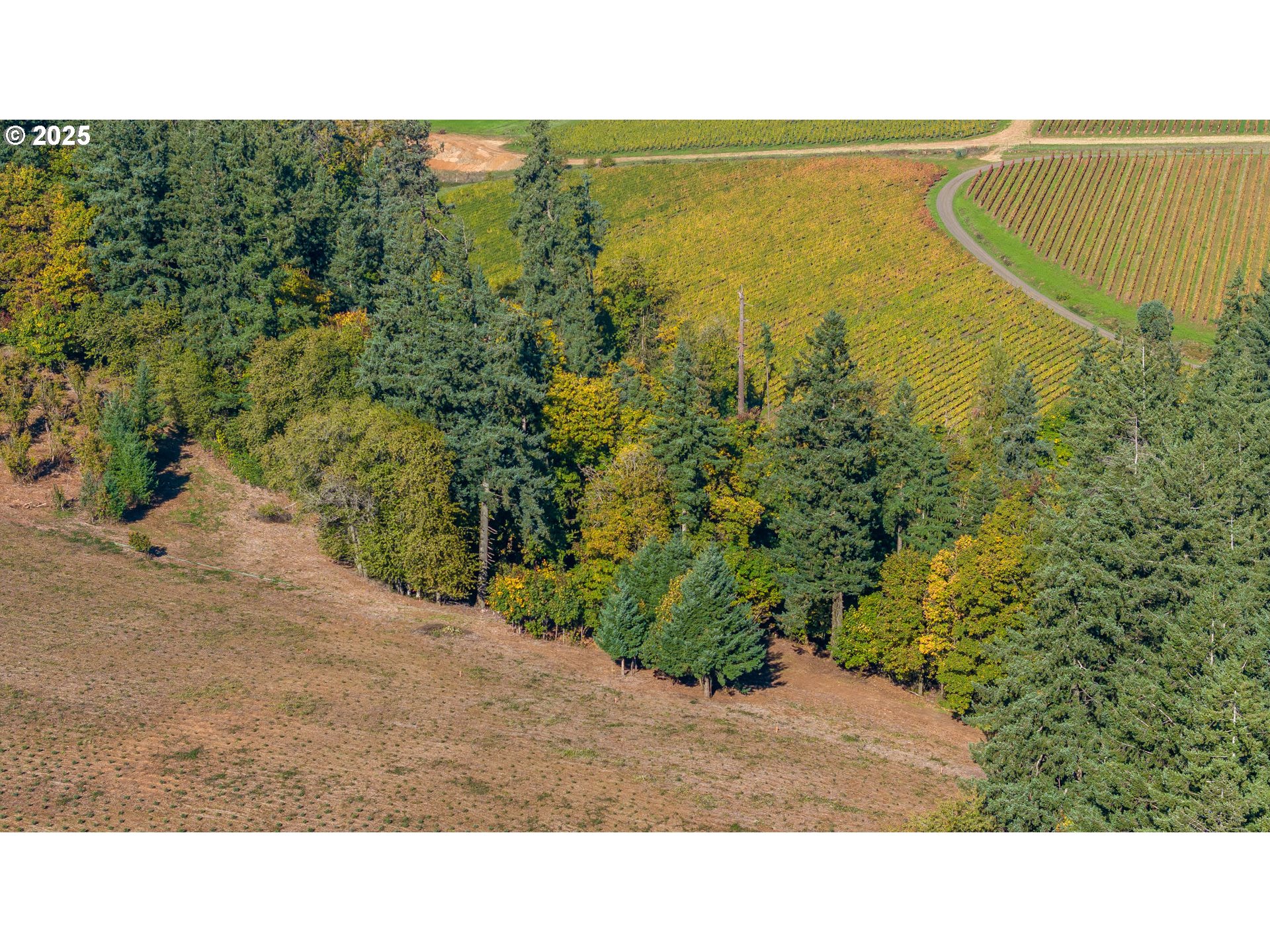0 Northeast Quarry Road Newberg, OR 97132 - Photo 44 of 48 Gallery Image 44