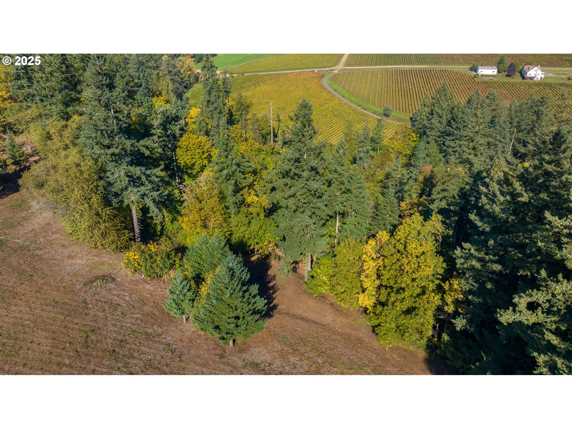 0 Northeast Quarry Road Newberg, OR 97132 - Photo 46 of 48 Gallery Image 46