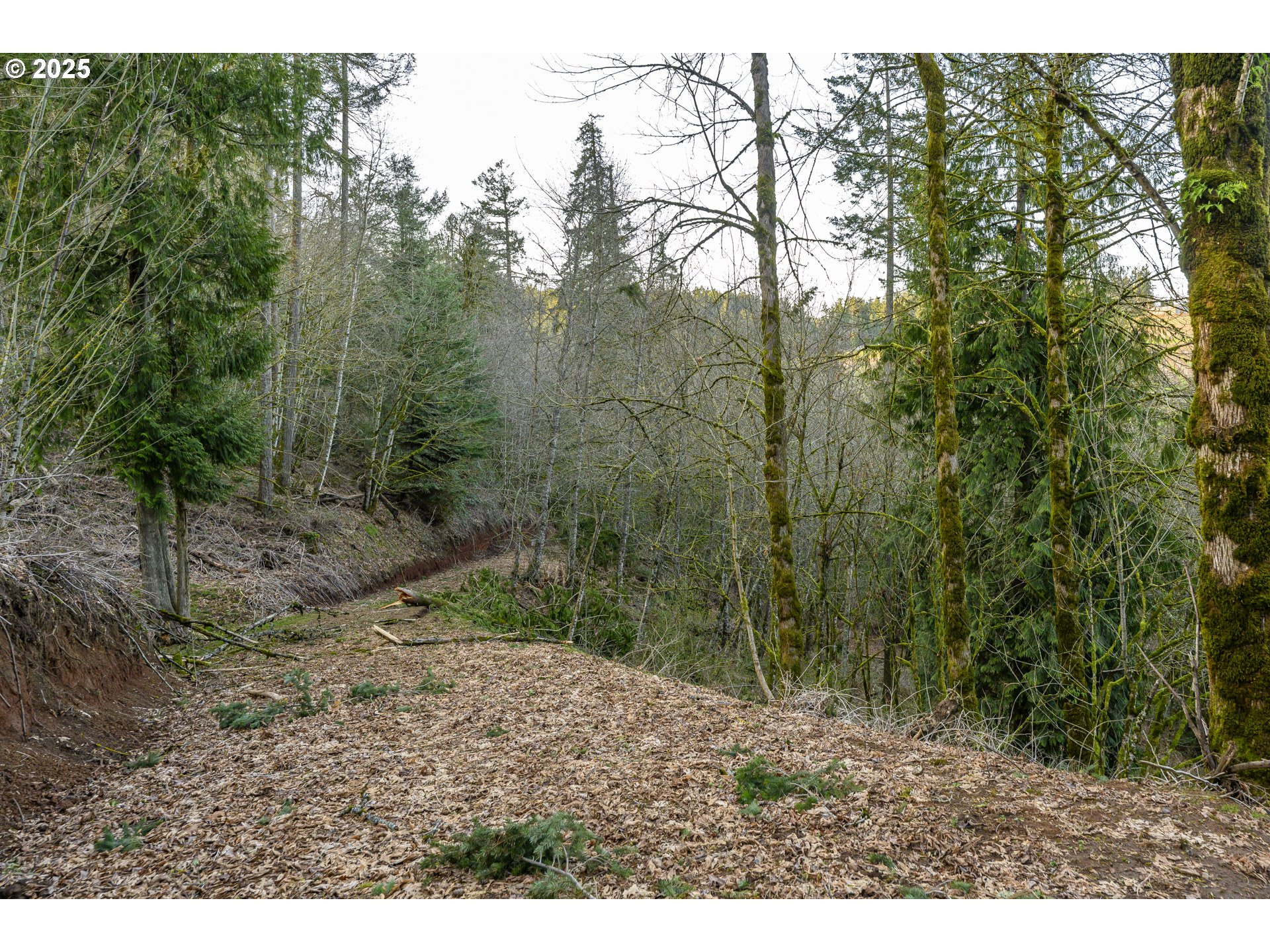 0 Northeast Quarry Road Newberg, OR 97132 - Photo 5 of 48 Gallery Image 5