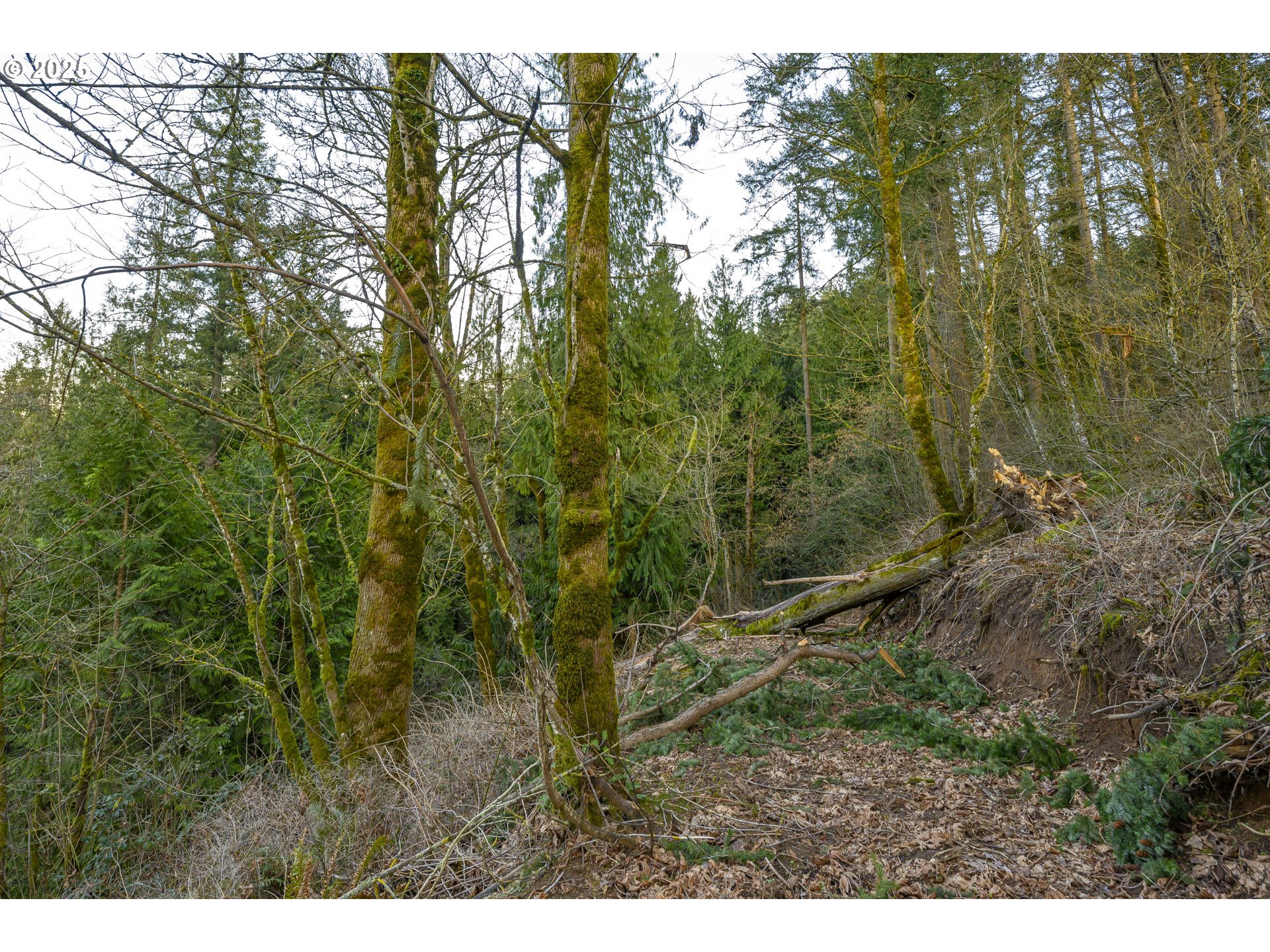 0 Northeast Quarry Road Newberg, OR 97132 - Photo 6 of 48 Gallery Image 6